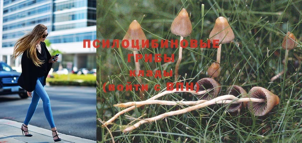 гашишное масло Балахна