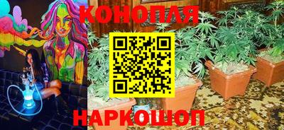 крисы Дубна