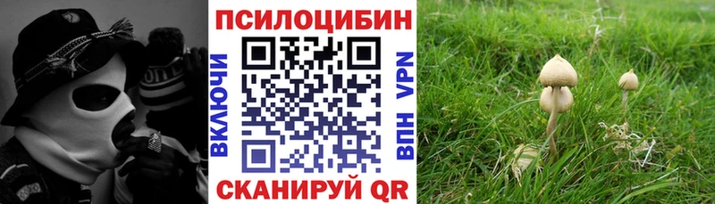 закладки  Валуйки  гидра рабочий сайт  Галлюциногенные грибы MAGIC MUSHROOMS 