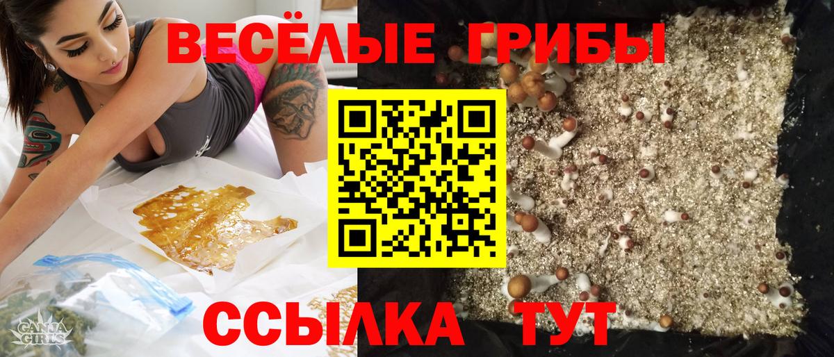 Псилоцибиновые грибы Magic Shrooms Валуйки