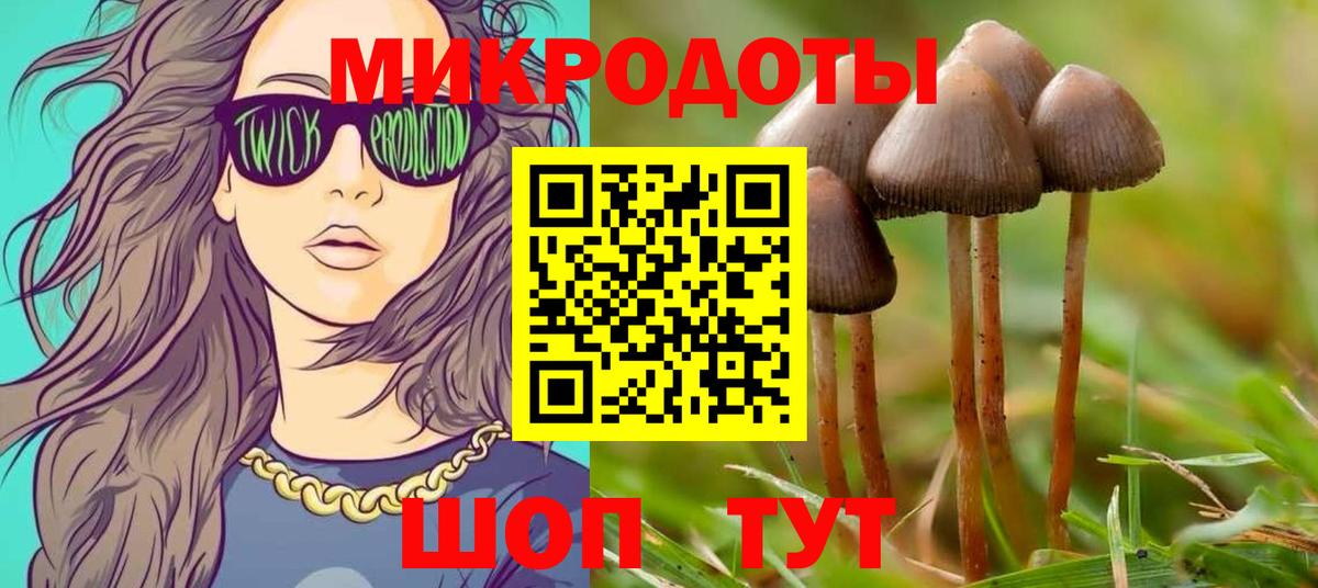 Галлюциногенные грибы мицелий  Вход с VPN  Галлюциногенные грибы мухоморы  Валуйки 