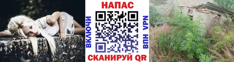 закладка  Валуйки  Канабис White Widow 